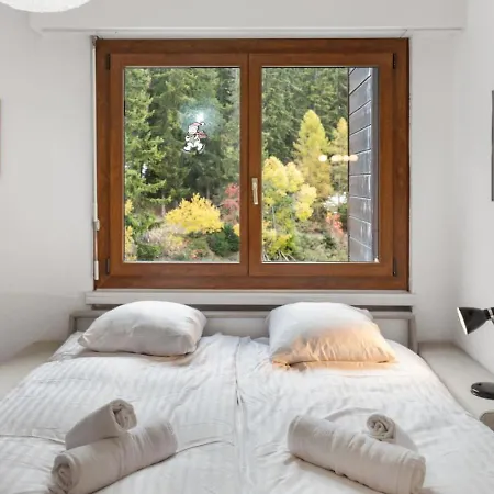 - Ski-in & Ski-out, 4 Pers Apartment